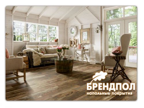 ���� ��������� ��������