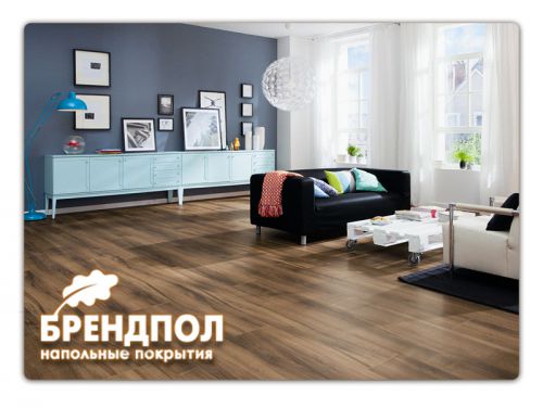 ������������ � ���������� ������� ���� ��������� ��������